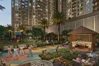 Senior Citizen Area